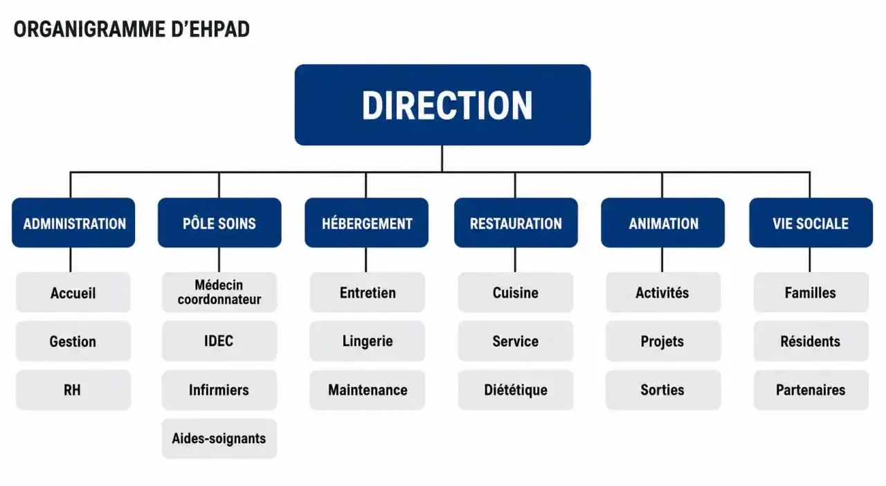 Organigramme ehpad clair montrant la direction, les soins, l’hébergement, la restauration, l’animation et l’administration