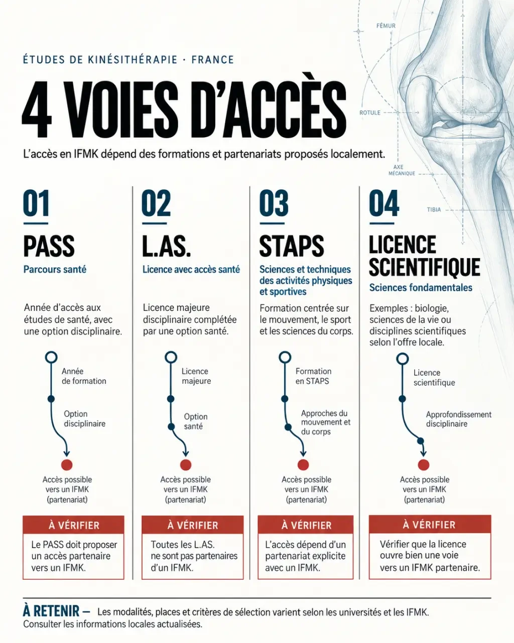 Etude kine : schéma des voies PASS, L.AS., STAPS et licence scientifique vers un IFMK